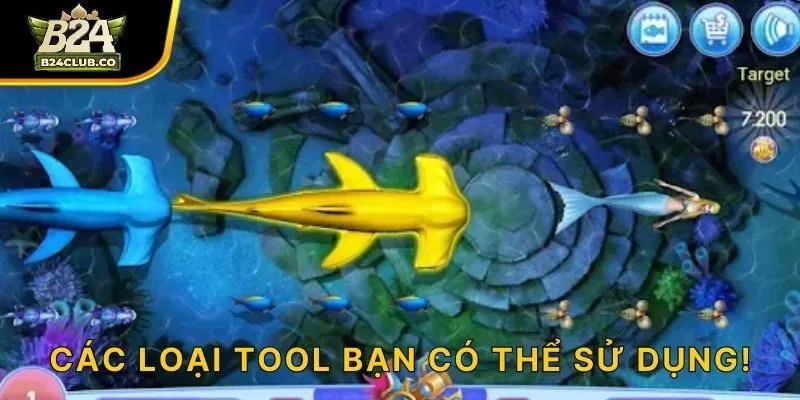 Các loại tool bạn có thể sử dụng!