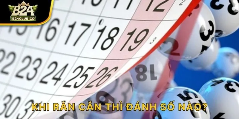 Khi rắn cắn thì đánh số nào?