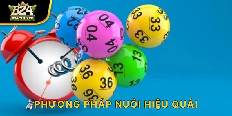 Phương pháp nuôi hiệu quả