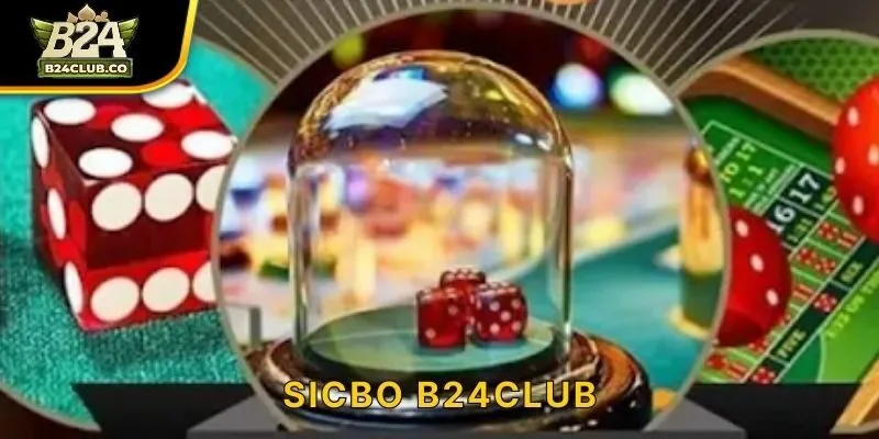 Sicbo B24CLUB