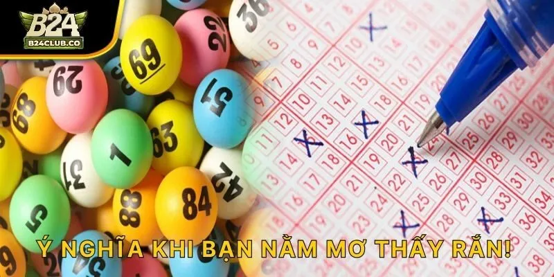 Ý nghĩa khi bạn nằm mơ thấy rắn!